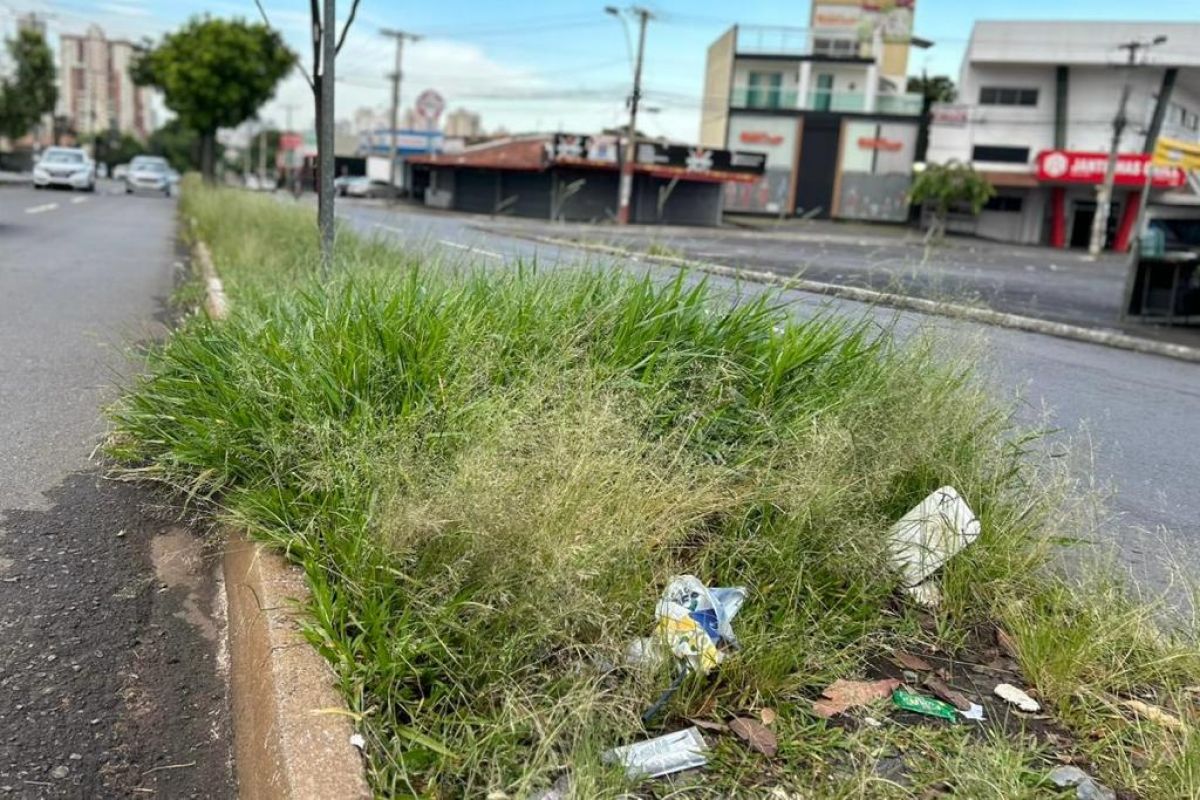 Só agora, em ano eleitoral, Prefeitura de Goiânia inicia força-tarefa contra mato alto em vias de Goiânia